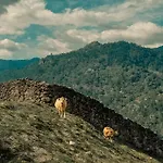 Semesterbostad Bravia Fafião