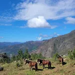 Bravia Semesterbostad *