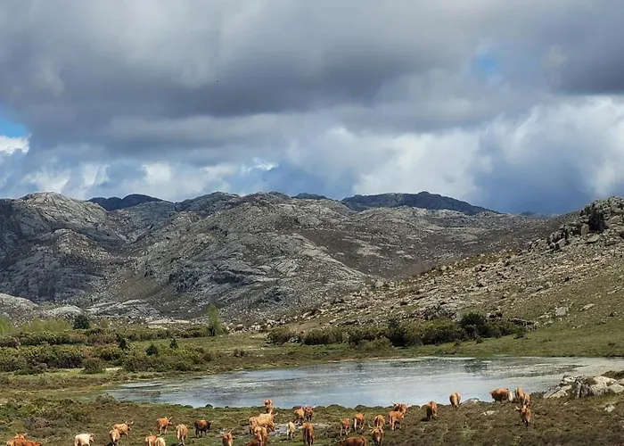 Bravia Holiday home *